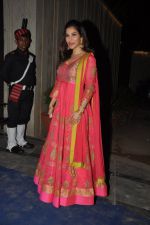 Sophie Chaudhary snapped at Diwali Bash in Mumbai on 22nd Oct 2014